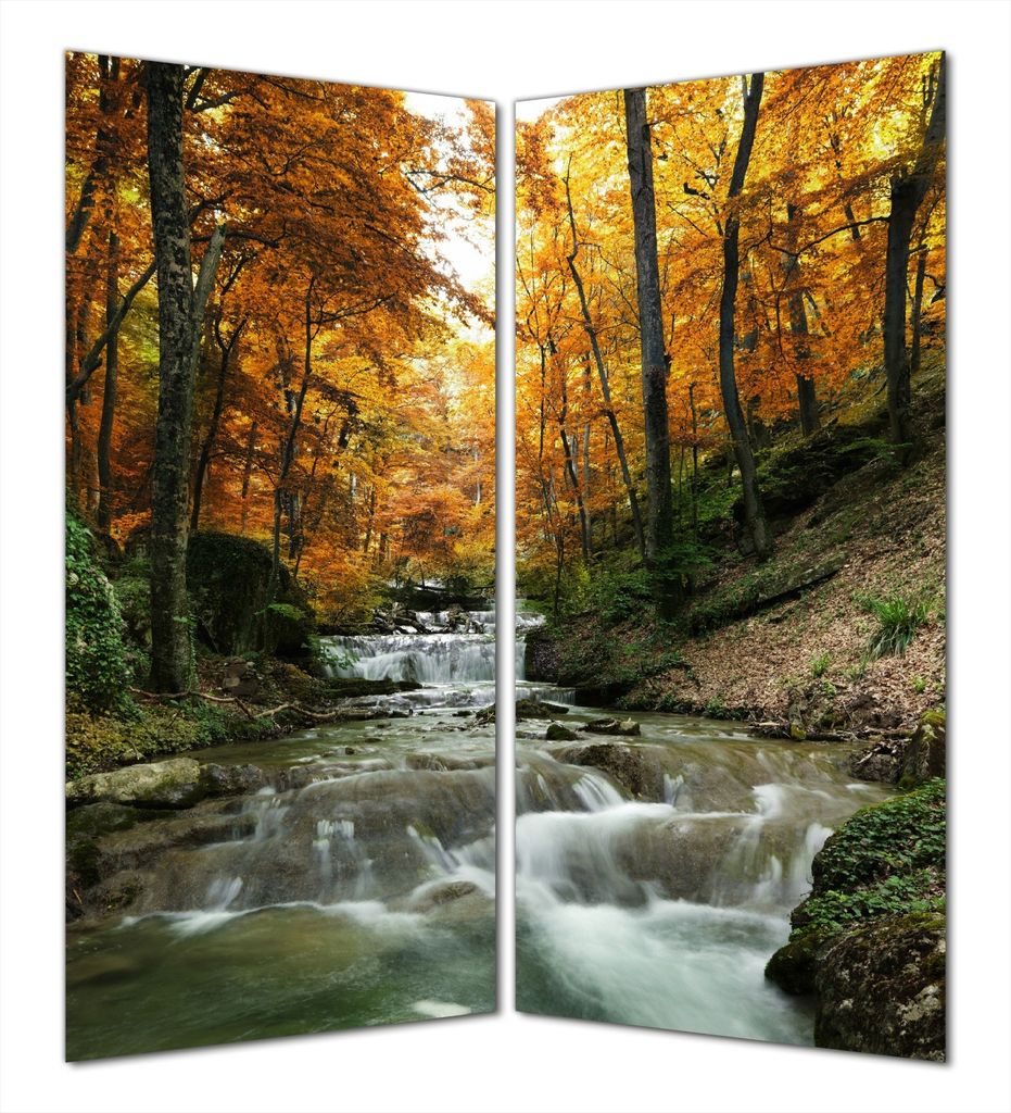 Wallario selbstklebende Duschrückwand 180 x 200 cm mit Motiv Kleiner Bach über Steine im Herbstwald - Wandverkleidung mit Hochglanzlaminat in Gla...