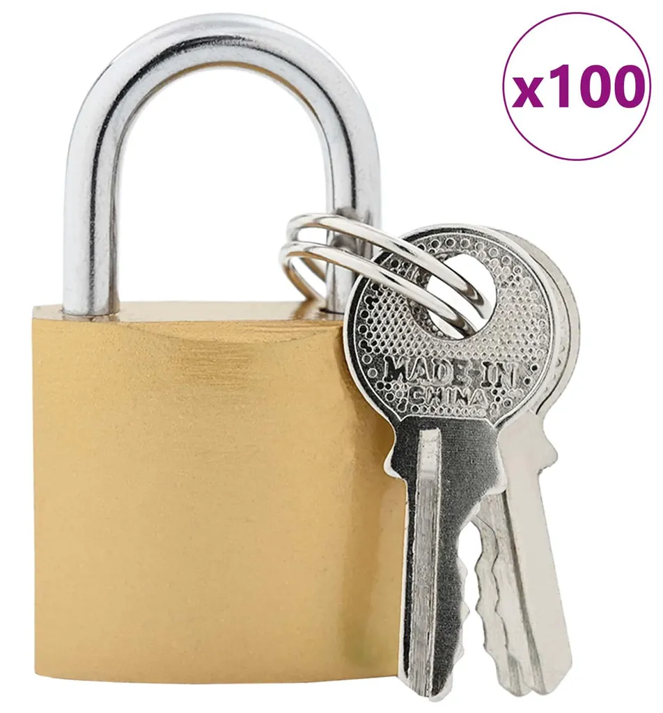 vidaXL Cadenas avec clés 100 pièces en Laiton et Fer pour Sécurité