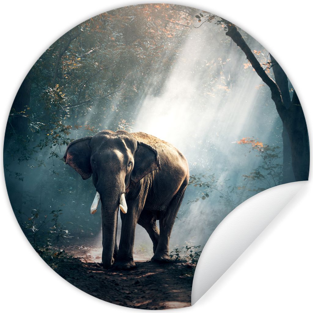 MuchoWow Runde Wandtattoo - Wandsticker Tapete Aufkleber Elefant - Tiere - Licht - Wald - Natur - Wildtiere Ø 50 cm Selbstklebend und Reposition...
