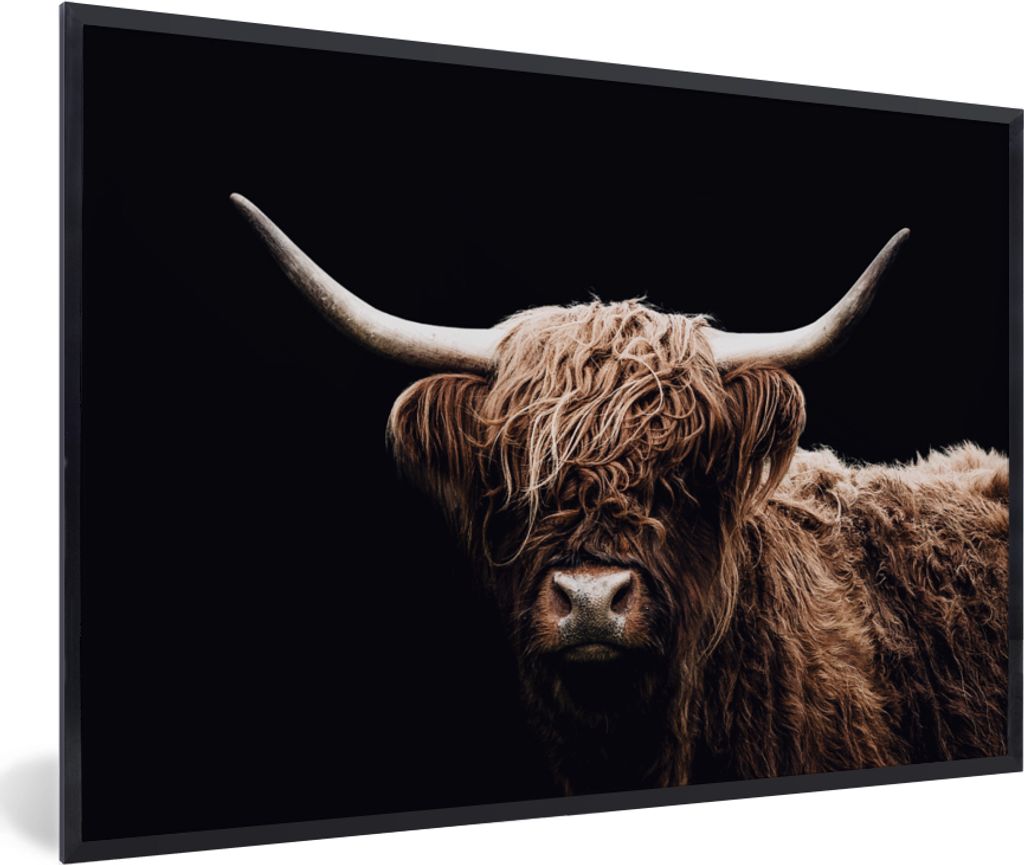 MuchoWow Gerahmtes Poster Schottischer Highlander - Schwarz - Horn 30x20 cm - Poster mit Schwarzem Bilderrahmen Wandposter Rahmen Foto Bilder - K...