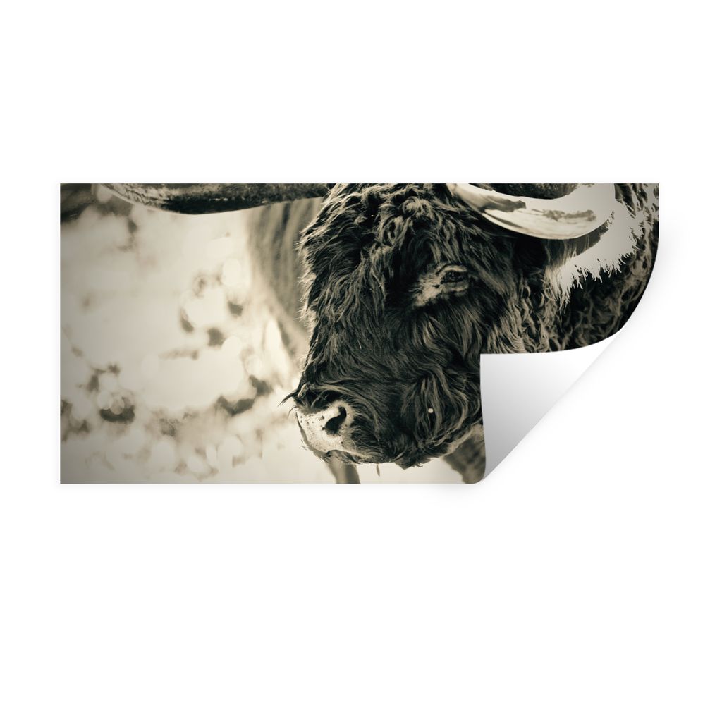 MuchoWow Wandtattoo Wandsticker Wandaufkleber Schottischer Highlander - Schnee - Hörner 40x20 cm Selbstklebend und Repositionierbar - Aufkleber