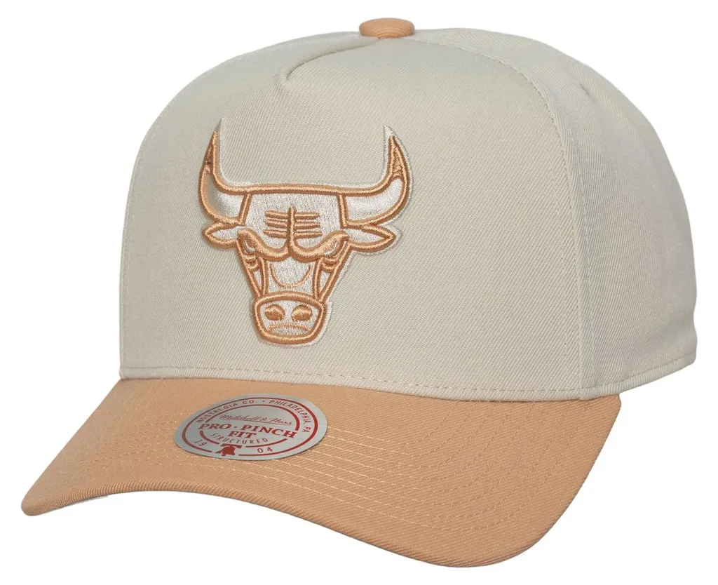 Casquette Snapback Pro Mitchell & Ness Chicago Bulls Dust Edition Grise