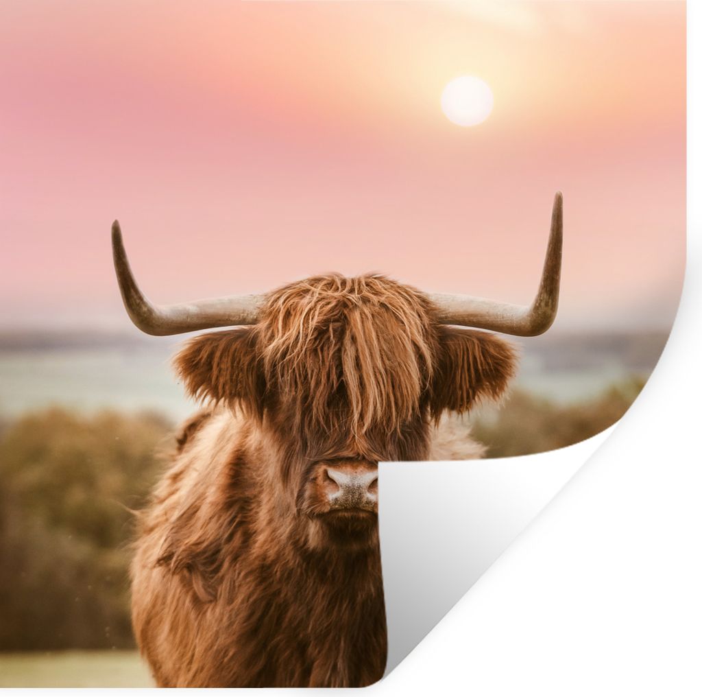 MuchoWow Wandtattoo Wandsticker Wandaufkleber Natur - Schottischer Highlander - Rosa 50x50 cm Selbstklebend und Repositionierbar - Selbstklebend ...