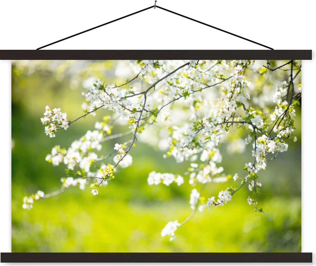 MuchoWow Textilposter Blüte - Frühling - Weiß 60x40 cm mit schwarzem Rahmen - Hölzernes
