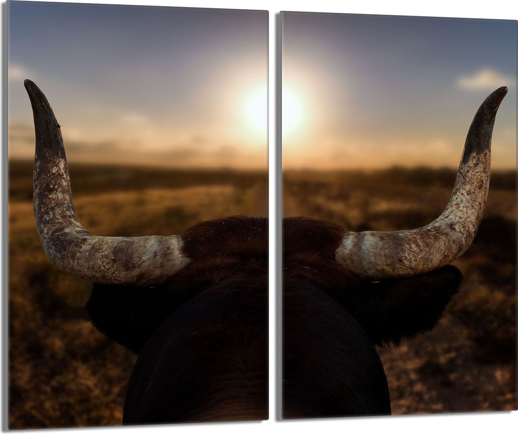 Glasschutzplatte für den Herd 2x30x52 Sun Produktbild 