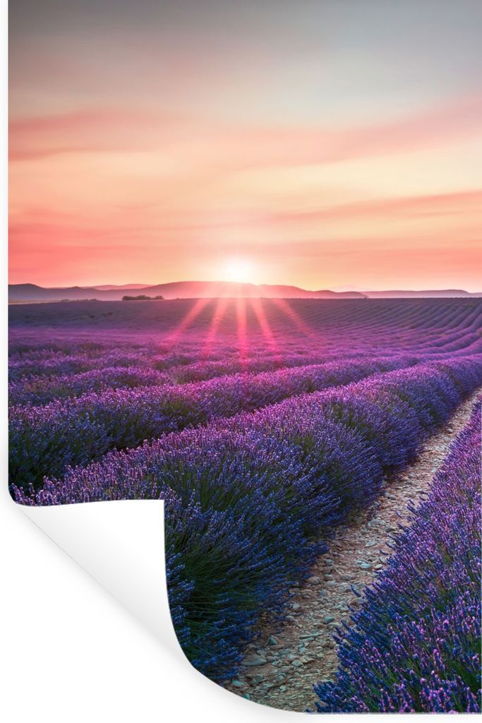 MuchoWow Wandtattoo Wandsticker Wandaufkleber Lavendel - Lila - Blumen - Himmel 60x90 cm Selbstklebend und Repositionierbar - Sticker - Dekorfolie