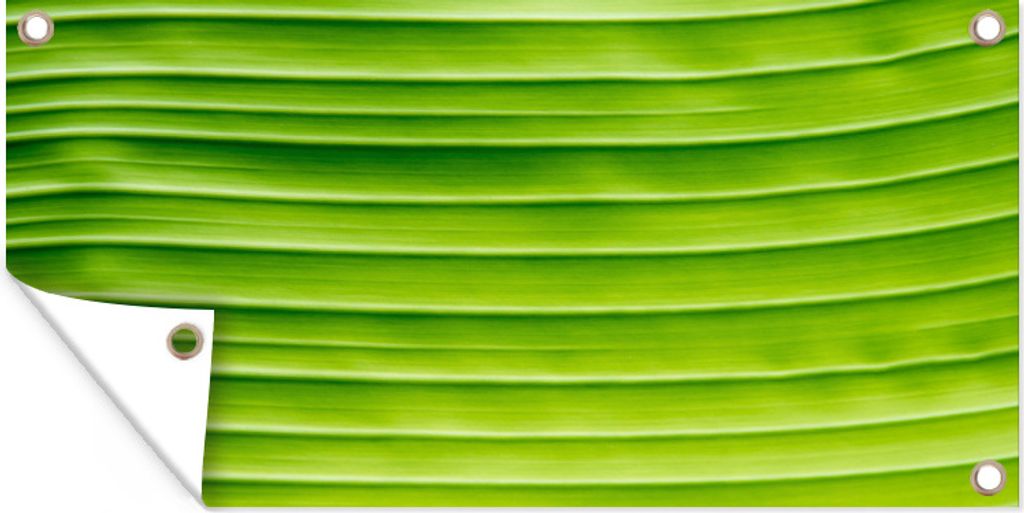 MuchoWow 60x30 cm Outdoor-Poster Gartendeko Sichtschutz Garten Poster für den Garten Blätter - Struktur - Natur
