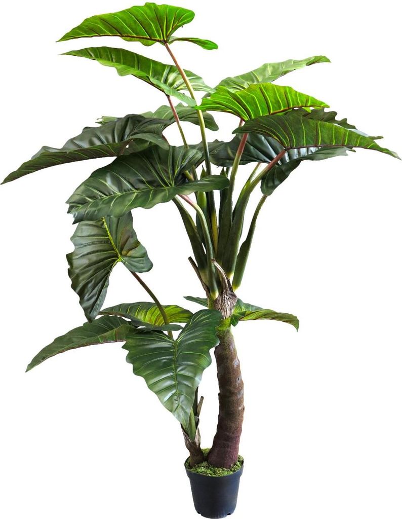 artplants.de Fake Pflanze Caladium FENYUE, grün, 220 cm - Künstliche Zimmerpflanze