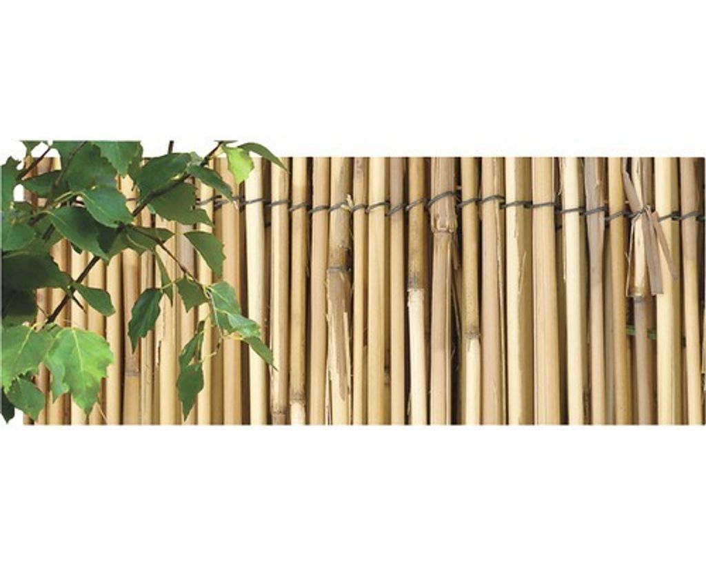 Stuoia di canne di caffè pelate 2 x 5 m Immagine del prodotto 