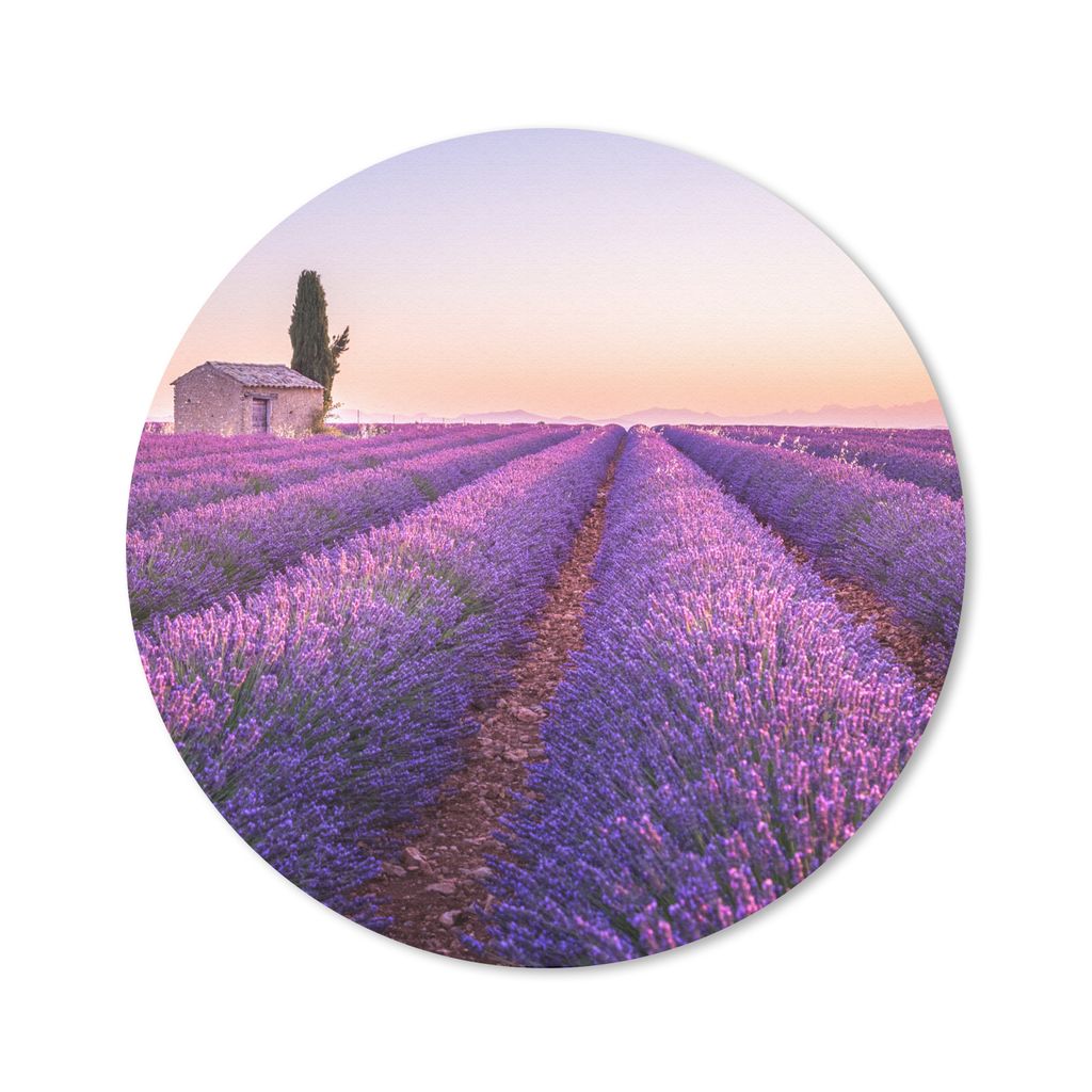 MuchoWow Mauspad Mousepad Lavendel - Sonnenuntergang - Lila - Blumen 40x40 cm - Mousepads - Maus Mat - Pad - Mausunterlage - Schreibtisch Accesso...