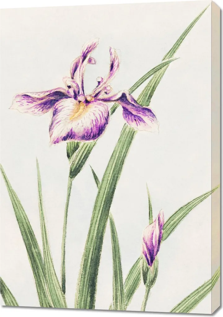 Quadro 70x100 cm Hana-Strobel | Megata Morikaga Vintage Giapponese