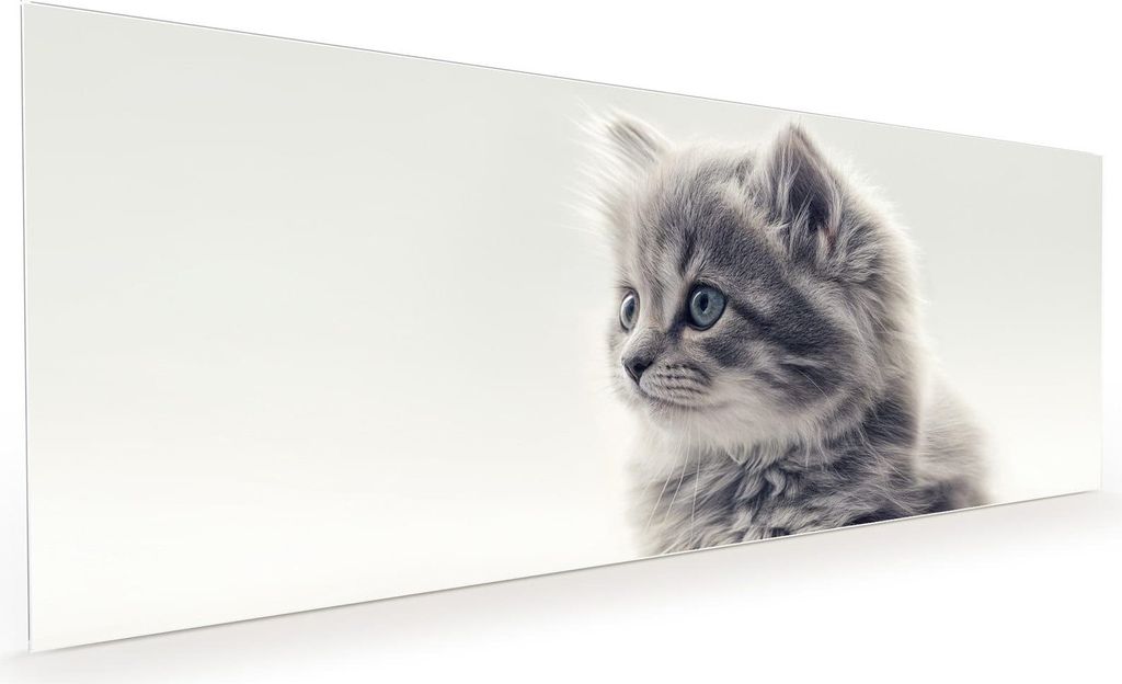 Küchenrückwand Spritzschutz Glas mit Motiv Kitten Portrait 40 x 40 cm