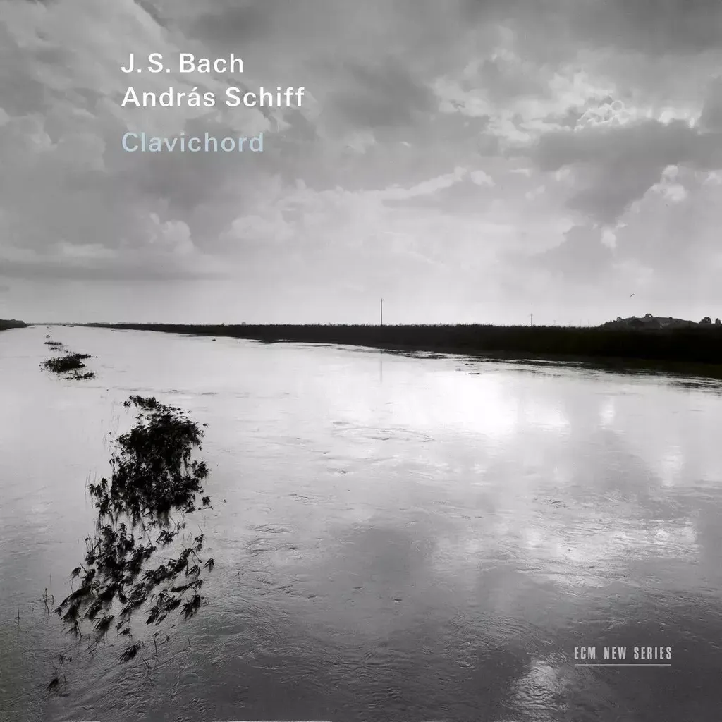Clavicorde Bach : Sonorités Authentiques et Interprétation Historique
