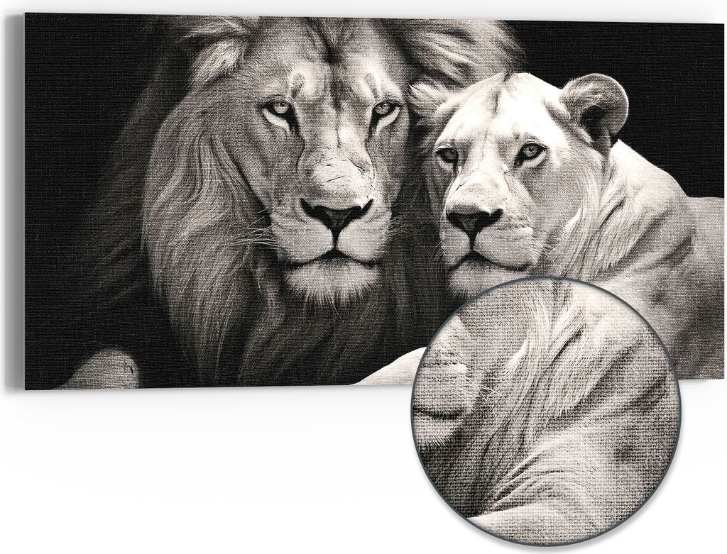 DEQOART Hybrid Leinwand Bild 60x30 cm 'Königliches Duo' Produktbild 