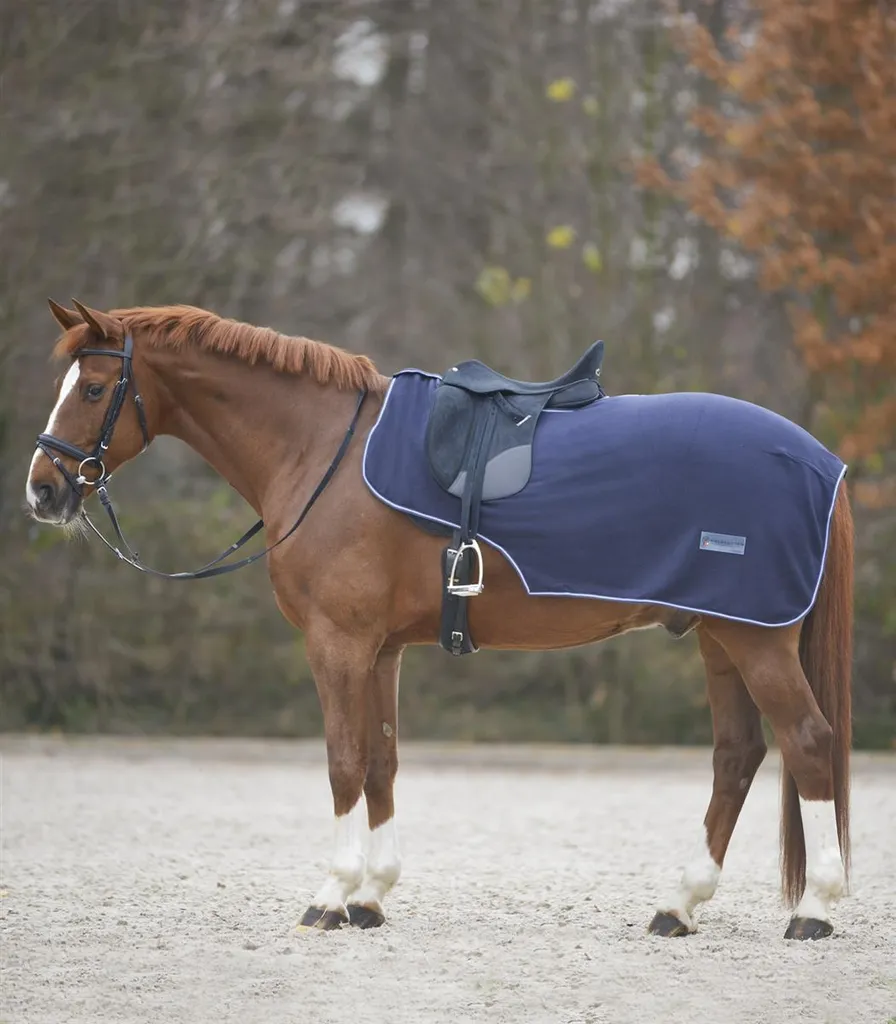 Coperta renale Thermostar Economic Marine 125 cm | Protezione Reni Cavallo