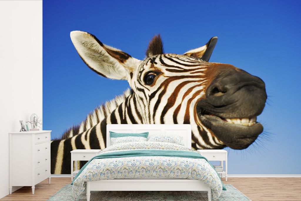 MuchoWow Fototapete für Wohnzimmer oder Schlafzimmer Wandtapete Vinyl Motivtapete Zebra - Lustig - Kinder - Jungen - Mädchen - 525x350 cm - Das...
