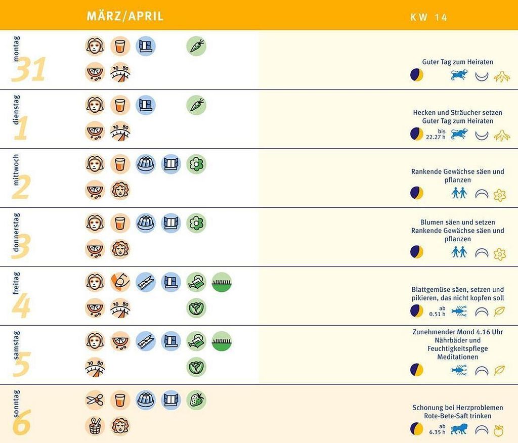 Mondkalender 2025