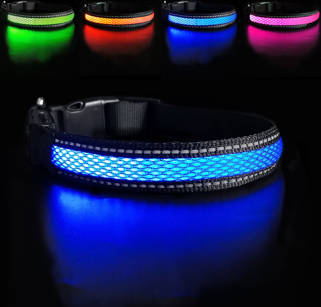 LED Hundehalsband – Leuchtendes Sicherheitshalsband in vielen Farben – USB wiederaufladbar, wasserdicht, 3 Leuchtmodi – Größen S, M, L BLAU...