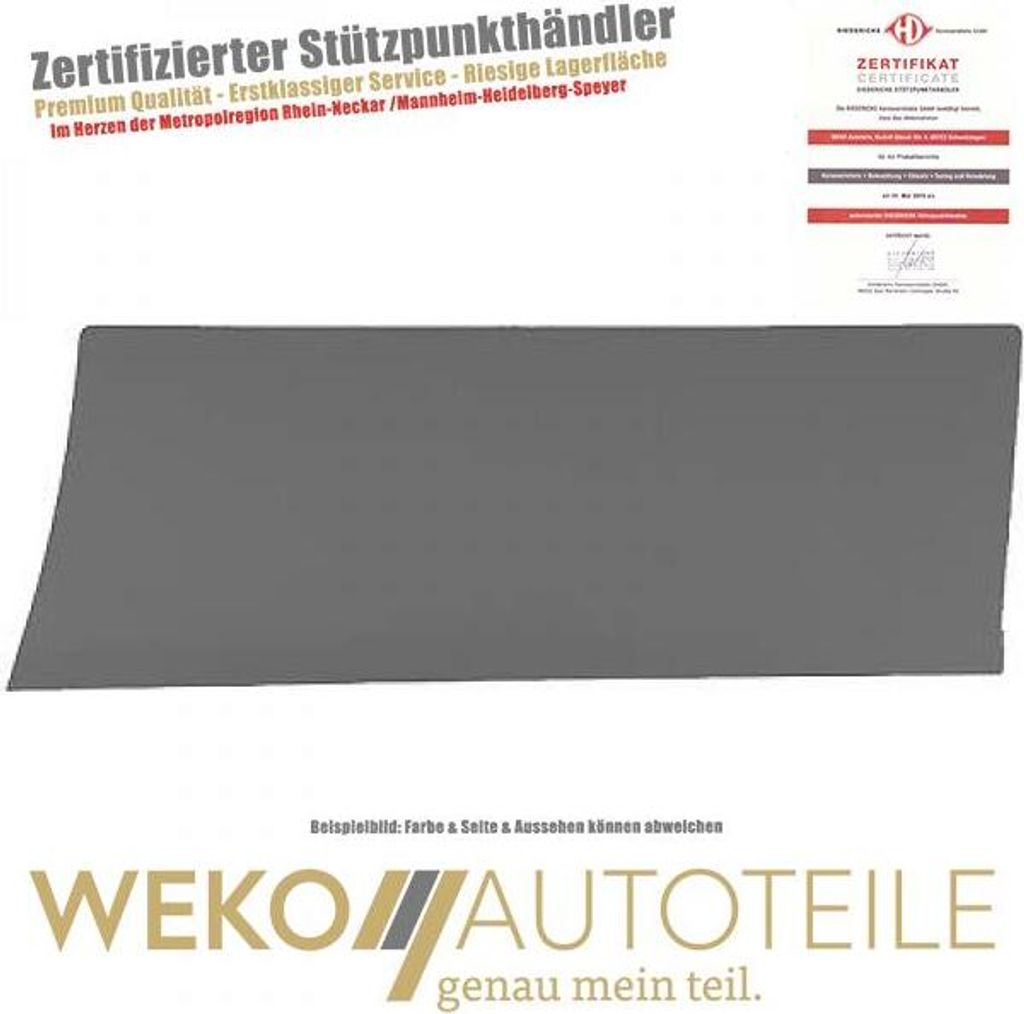 Zier Schutzleiste Seitenwand hinten links DIEDERICHS 4497267 für OPEL RENAULT