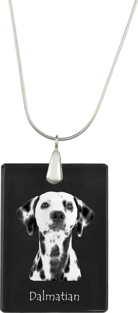 Dalmatin - Ciondolo in cristallo con cane, collana in argento con foto, ciondolo personalizzato del marchio Art-Dog