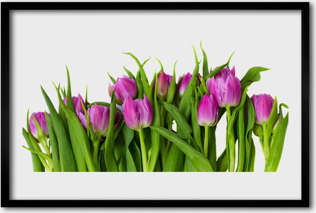 Bild 60x40 MDF-Rahmen Wandkunst Tulpen Blumen Pflanze
