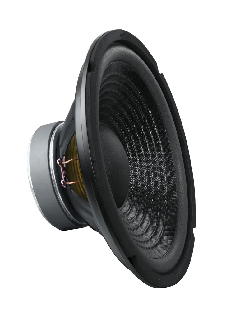 Subwoofer MHB10 8 Ohms 250mm avec Membrane Renforcée 200 Watts
