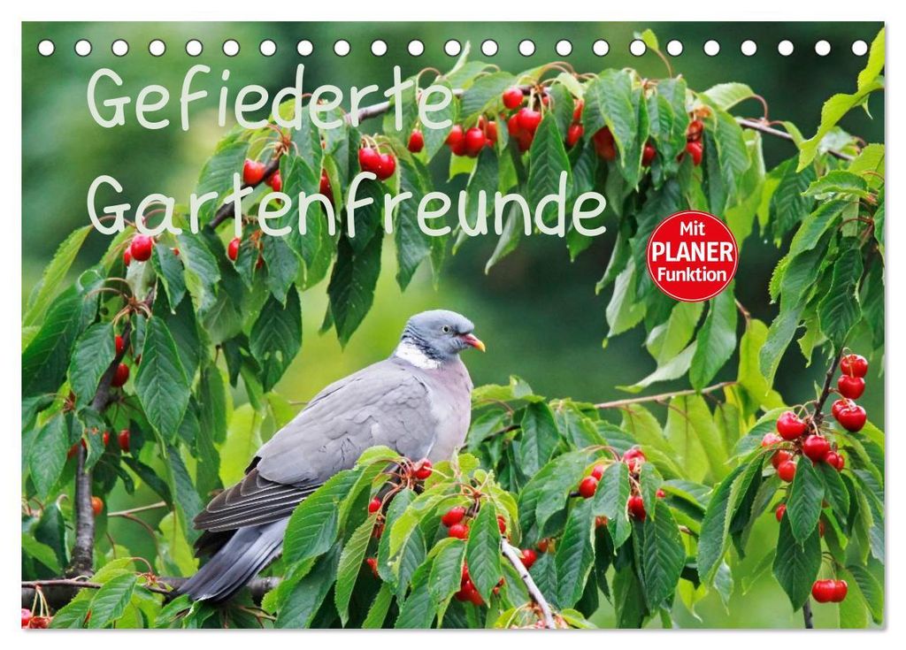 Gefiederte Gartenfreunde (Tischkalender 2027 DIN A5 quer), CALVENDO Monatskalender