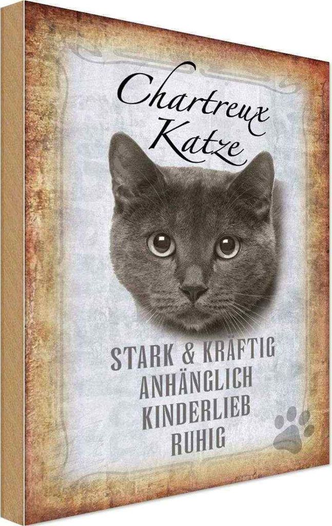 vianmo Holzschild 30x20 cm Chartreux Katze stark Tier Haustier