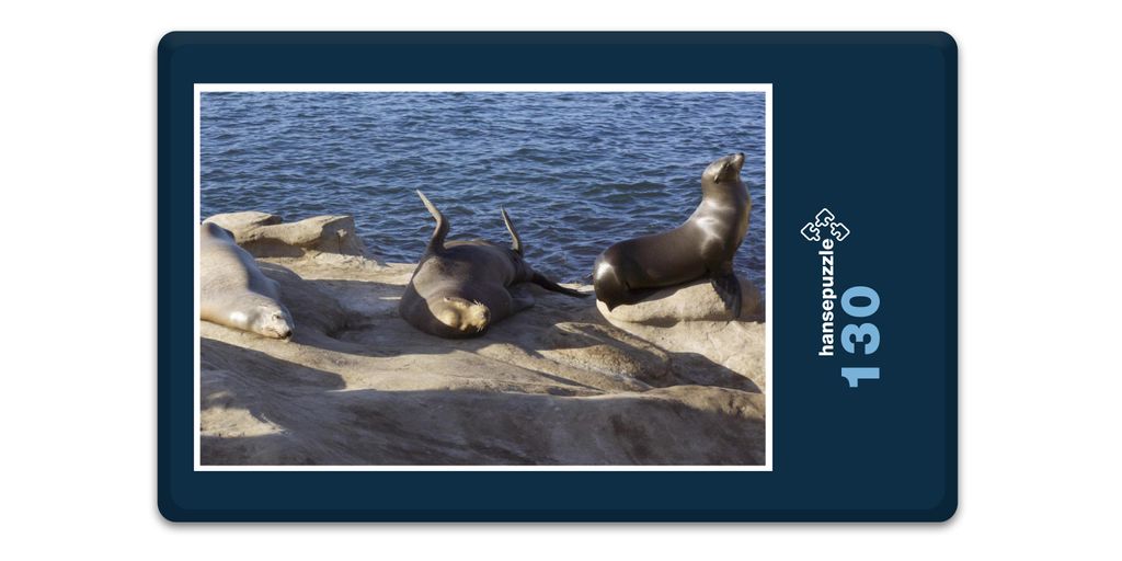 hansepuzzle 17540 - See-Löwe Puzzle, 130 Teile, Tierwelt, 28,7 x 20,0cm mit hochwertiger Aufbewahrung, Kartonbox und wiederverschließbarem Beutel