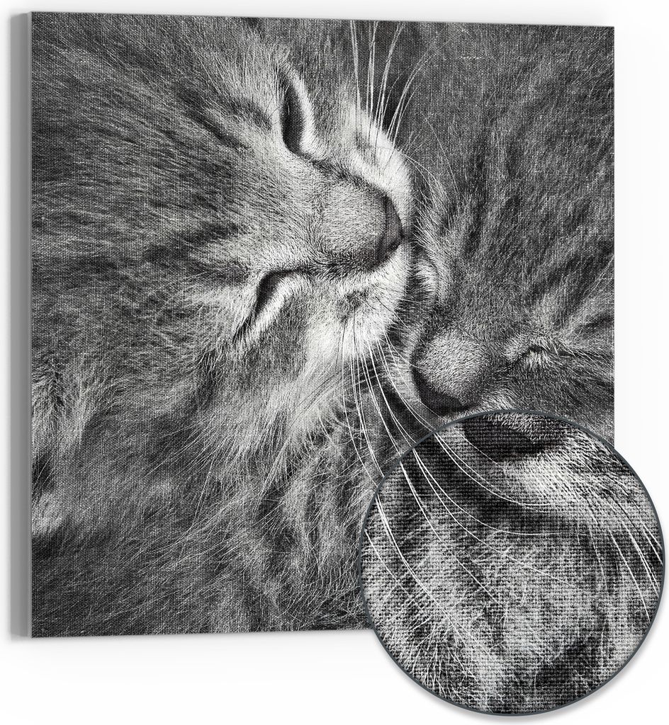 DEQORI Hybrid Leinwand Bild 50x50 cm 'Sanfte Träume' Produktbild 
