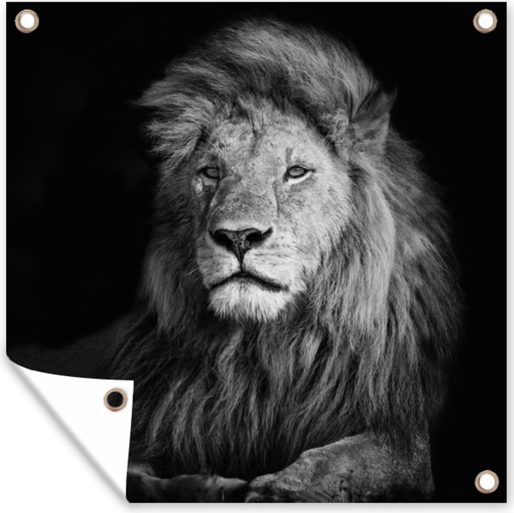 MuchoWow 50x50 cm Outdoor-Poster Gartendeko Sichtschutz Garten Poster für den Garten Wildlife - Löwe - Schwarz - Weiß