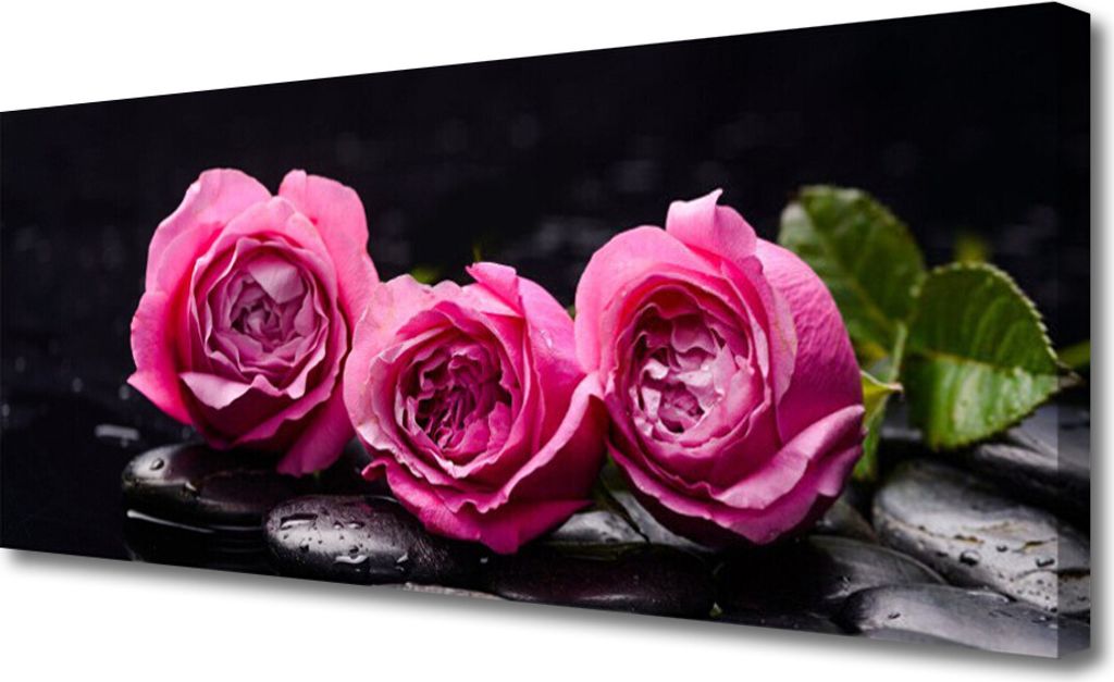 Tulup Leinwand-Bilder 125x50 Wandbild Canvas Kunstdruck Rosen Steine Pflanzen