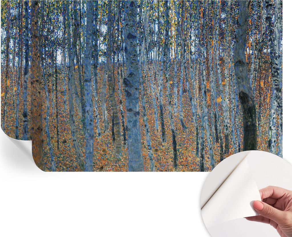 Selbstklebende Wandtapete - Dekorative Tapete für Wohnzimmer - Klebefolie für Wandbilder - Tapetenfolie für Wanddekoration - 416x254 - Birkenwald