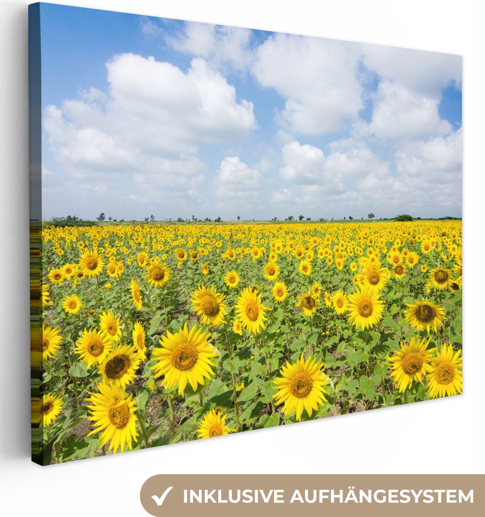 MuchoWow - Leinwandbilder - Sonnenblumen - Blumen - Wolken - Natur - Gelb - Landschaft, Wandbild, Wanddeko Bilder Wohnzimmer, 40x30 cm