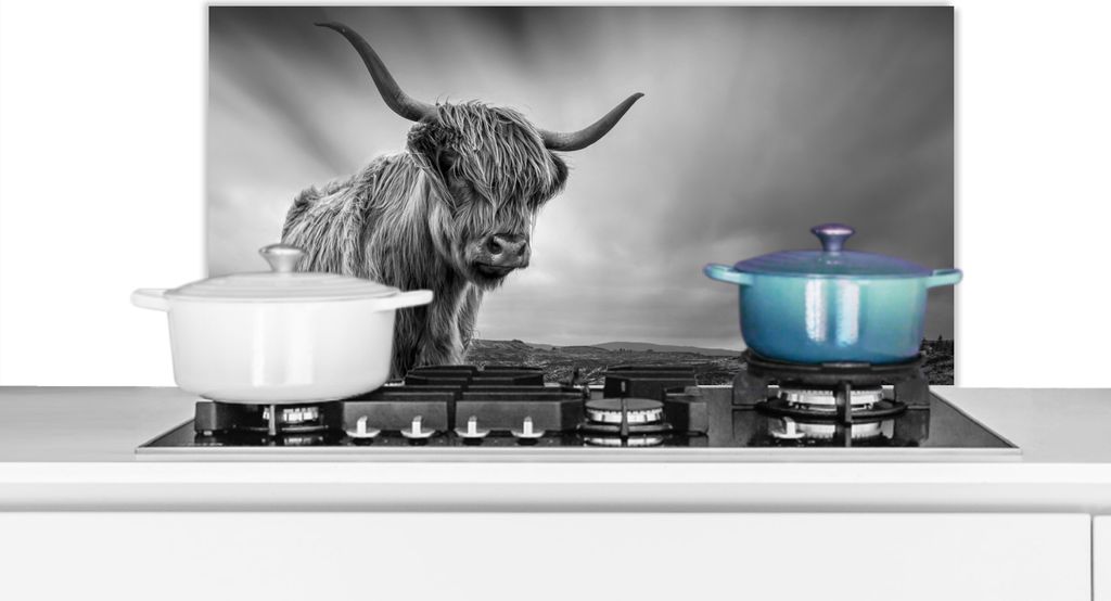 KitchenYeah Spritzschutz Küche - Küchenrückwand - Wandschutz für Herd und Spüle - Kühe - Schottische Hochlandkühe - Natur - Tiere - Schwa...