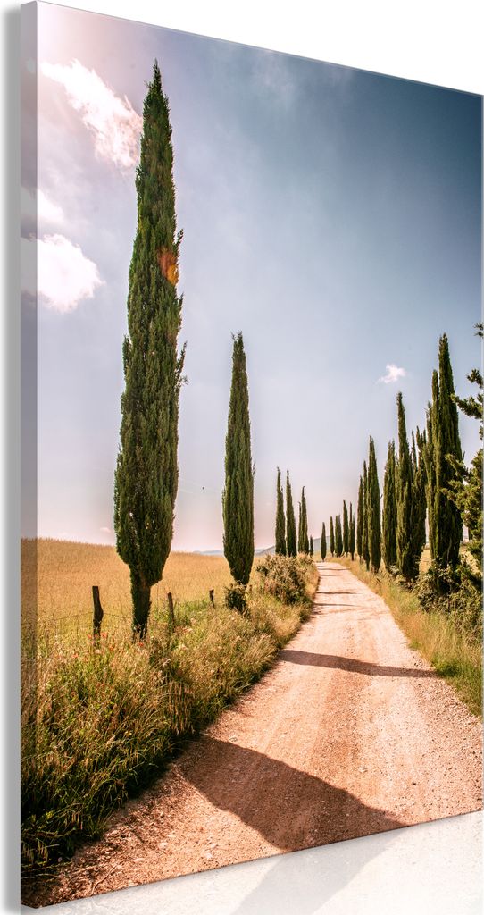 Italienischer Leinwand Leinwandbild - Italian cypresses (1 Part) Vertical 20x30 cm Landschaften c-B-10001-b-a