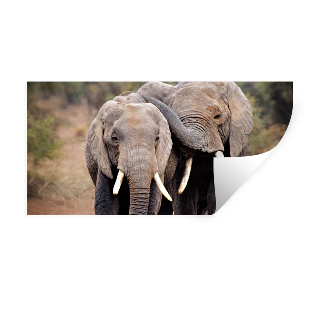 MuchoWow Wandtattoo Wandsticker Wandaufkleber Elefant - Tiere - Bäume - Natur 80x40 cm Selbstklebend und Repositionierbar - Aufkleber