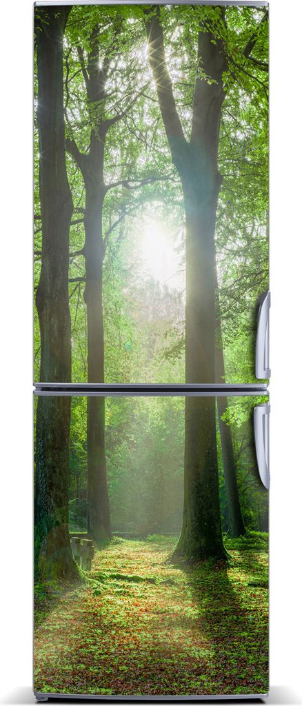 Tulup Kühlschrankdekoration - Magnetmatte - 60 cm x 180 cm - Magnet auf dem Kühlschrank - Sun Im Wald