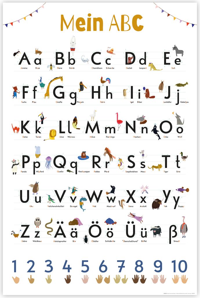 Das ABC Poster Auf 170 gr. Papier gedruckt 61 x 91,5 cm Produktbild 