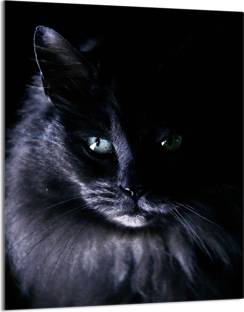 Herdabdeckplatte 40x52 Glaskeramikkochfeld Abdeckung Spritzschutz Glasplatte Deko Schneidebrett, Katze Schwarz