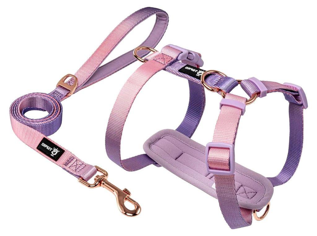 Hundegeschirr und Hundeleine Set für kleine Hunde – Schnellverschluss, langlebig (Lila Pink)