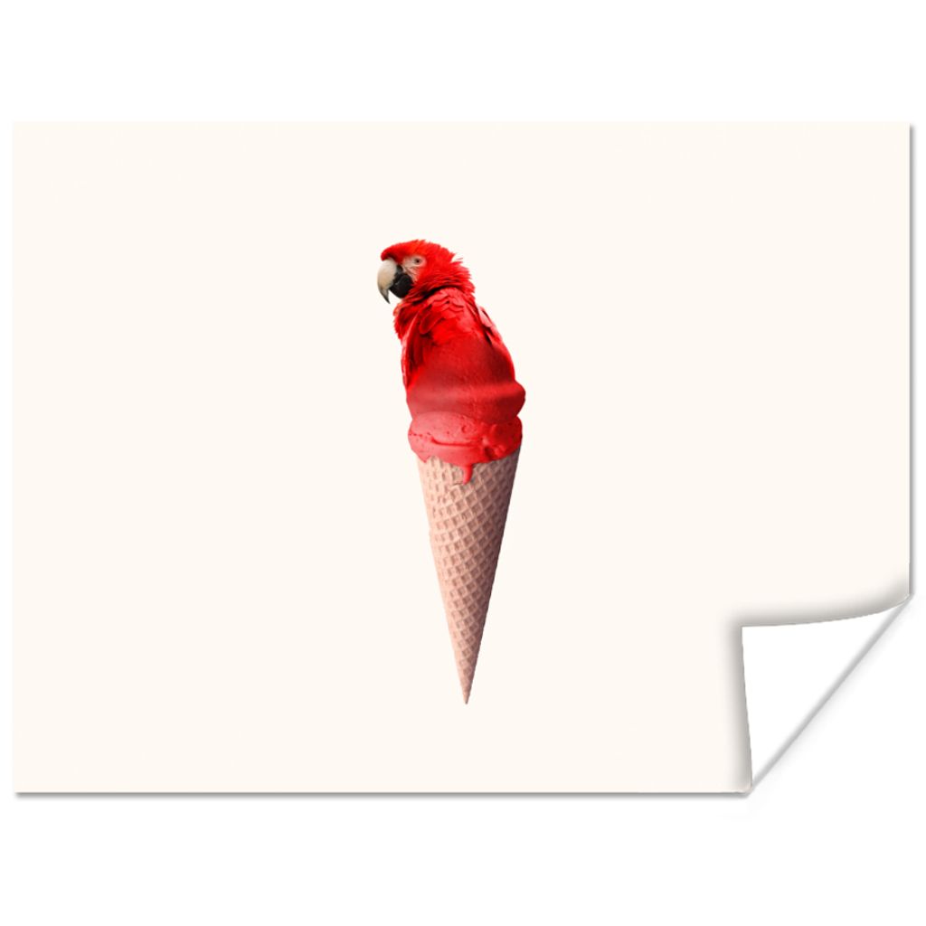 MuchoWow Poster Eiscreme - Papagei - Rot - Eistüten - Weiß 120x90 cm - Wandbild