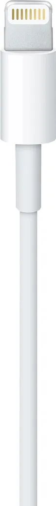 Câble de charge Lightning USB blanc de 2 mètres pour smartphone