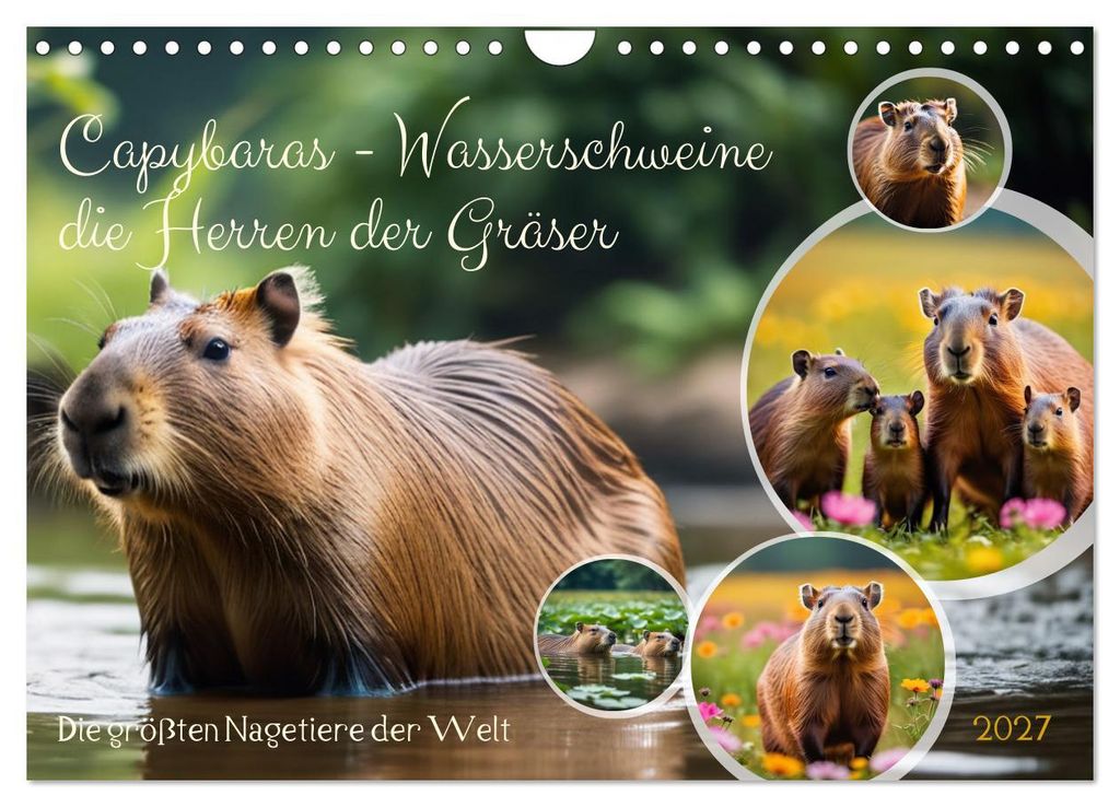 Capybaras - Wasserschweine die Herren der Gräser (Wandkalender 2027 DIN A4 quer), CALVENDO Monatskalender