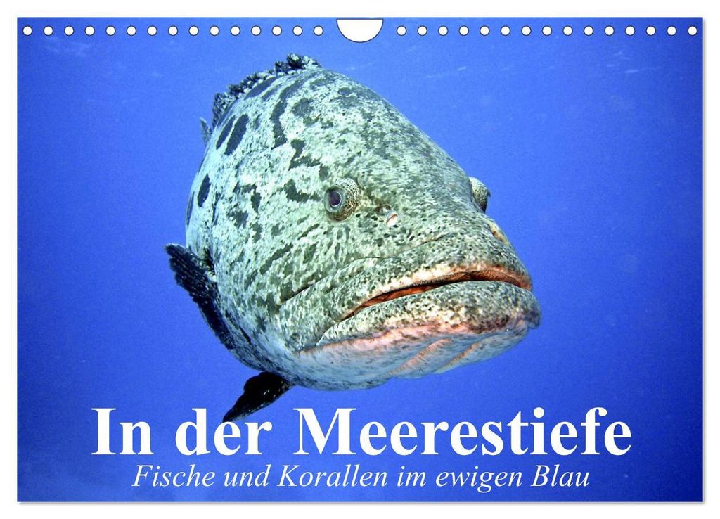 In der Meerestiefe. Fische und Korallen im ewigen Blau (Wandkalender 2027 DIN A4 quer), CALVENDO Monatskalender