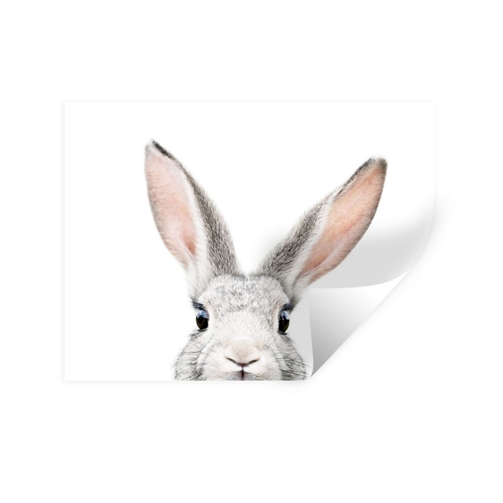 MuchoWow Wandtattoo Wandsticker Wandaufkleber Kaninchen - Tiere - Natur - Weiß 80x60 cm Selbstklebend und Repositionierbar - Faltenfrei