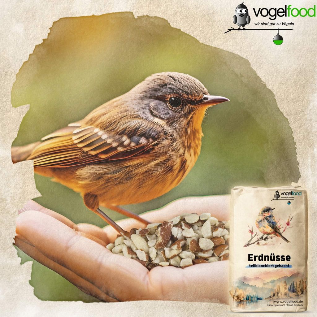 Erdnusse Vogelfutter 10 Kg Preisvergleich