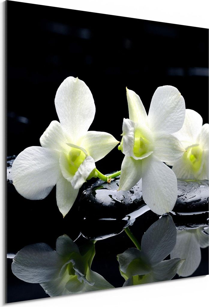 DEQORI Alu-Dibond Bild Weiß 30x30 cm 'Orchidee mit Zen-Steinen' Wandbild Metall dünn