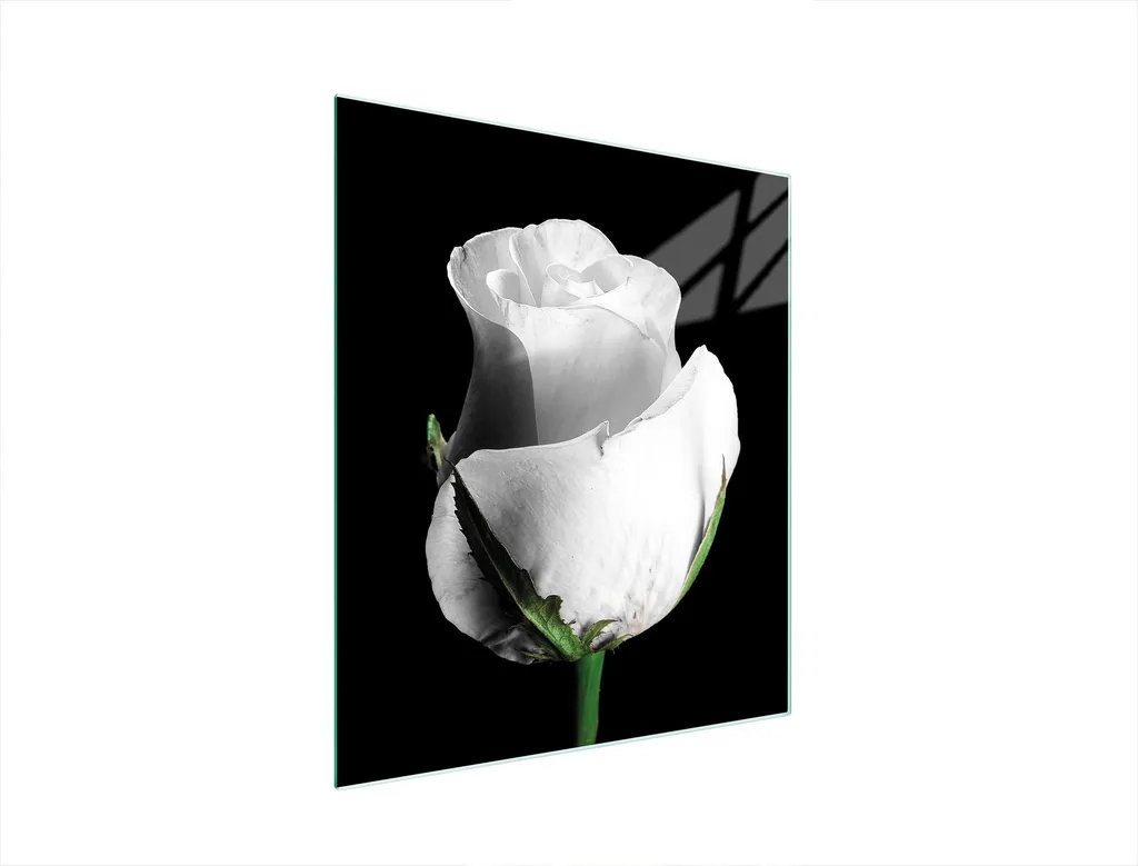 Copri Piano Cottura Vetro 45x52 Rose - Tagliere Design Temperato