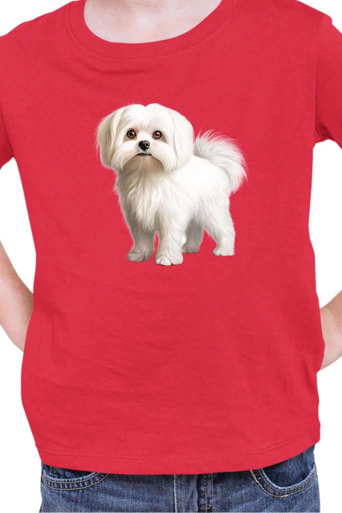 Kinder T-Shirt Dogs Breeds Maltese Dog Breed 005, 12-13 Jahr - 152 / Rot